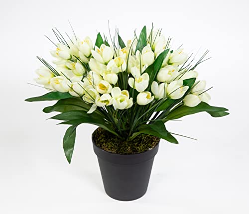 Seidenblumen Roß Krokusbusch 28cm weiß-Creme im Topf PM Kunstpflanzen Kunstblumen künstlicher Crocus Krokus Blumen von Seidenblumen Roß