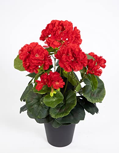 Künstliche Geranie im Topf 35cm LM Kunstblumen künstliche Pelargonium Blumen Pflanzen (Rot) von Seidenblumen Roß