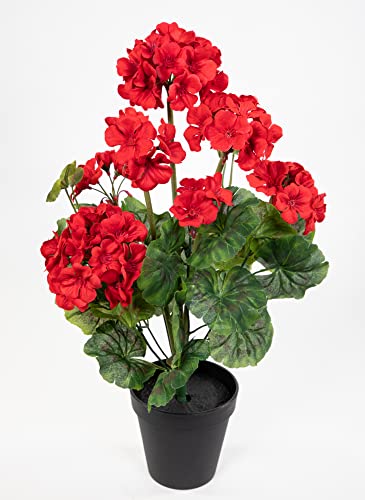 Künstliche Geranie im Topf 44cm JA Kunstblumen künstliche Pelargonium Blumen Pflanzen (Rot) von Seidenblumen Roß