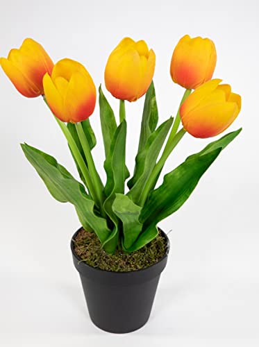 Seidenblumen Roß Künstliche Tulpen PU Real Touch 36cm orange im Topf ZF Kunstblumen künstliche Blumen Tulpen von Seidenblumen Roß