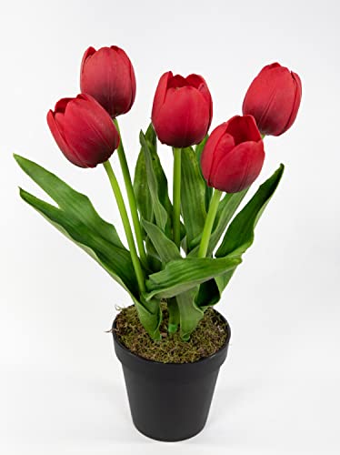 Seidenblumen Roß Künstliche Tulpen PU Real Touch 36cm rot im Topf ZF Kunstblumen künstliche Blumen Tulpen von Seidenblumen Roß