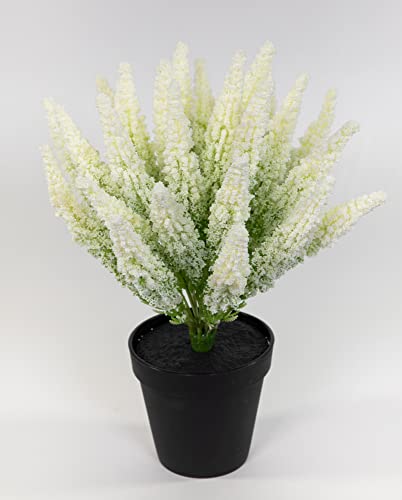 Künstliches Erika/Heidekraut 32x28cm im Topf PM Kunstpflanzen Kunstblumen Erikabusch … (Weiß) von Seidenblumen Roß