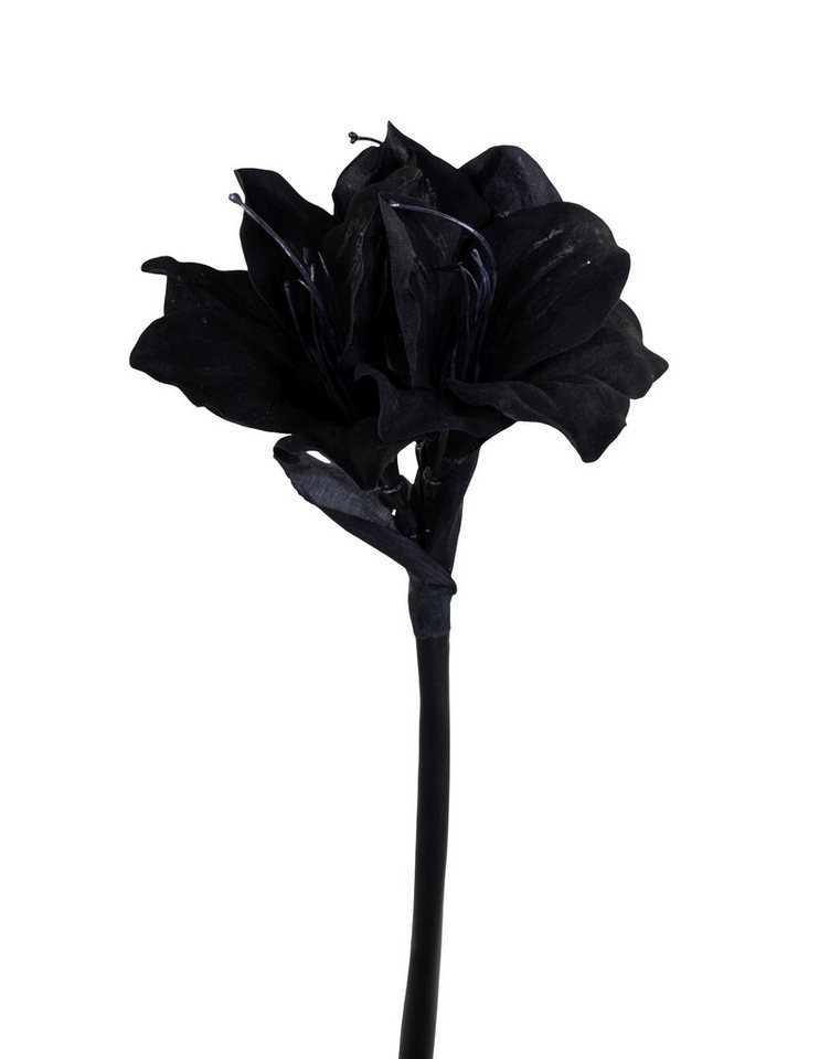 Kunstblume Amaryllis 50cm schwarz GA Dekoblumen künstliche Blumen Ritterstern, Seidenblumen Roß, Höhe 50 cm Kunstblume Amaryllis 50cm schwarz GA Dekoblumen künstliche Blumen Ritterstern, Seidenblumen Roß, Höhe 50 cm von Seidenblumen Roß