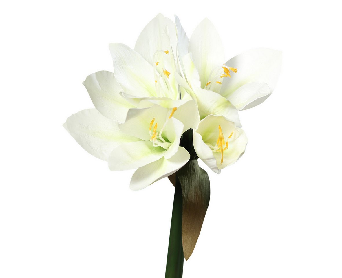 Kunstblume Amaryllis Real Touch DP Dekoblumen künstliche Blumen Ritterstern, Seidenblumen Roß, Höhe 36 cm, Farbe: Weiß Kunstblume Amaryllis Real Touch DP Dekoblumen künstliche Blumen Ritterstern, Seidenblumen Roß, Höhe 36 cm, Farbe: Weiß von Seidenblumen Roß