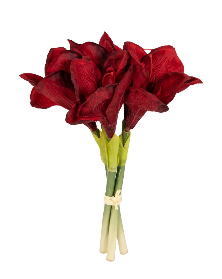 Kunstblume Amaryllisbund 35cm GA Kunstpflanzen künstliche Blumen Ritterstern Amaryllis, Seidenblumen Roß, Farbe: Bordeaux Kunstblume Amaryllisbund 35cm GA Kunstpflanzen künstliche Blumen Ritterstern Amaryllis, Seidenblumen Roß, Farbe: Bordeaux von Seidenblumen Roß