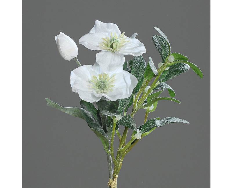 Kunstblume Christrosen- Mistelbund 34cm geeist DP künstliche Christrose Mistel Helleborus Blumen, Seidenblumen Roß, Höhe 34 cm Kunstblume Christrosen- Mistelbund 34cm geeist DP künstliche Christrose Mistel Helleborus Blumen, Seidenblumen Roß, Höhe 34 cm von Seidenblumen Roß