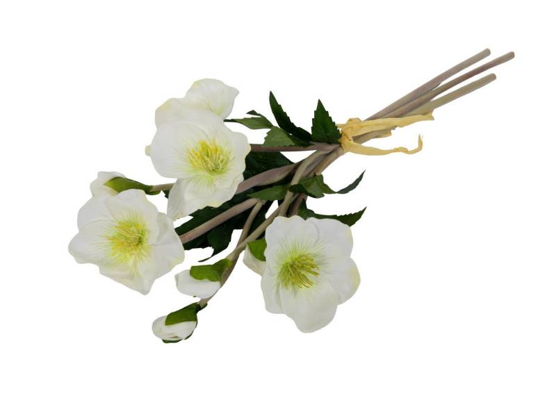 Kunstblume Christrosenbund 36cm weiß GA künstliche Blumen Christrose Schneerose Helleborus, Seidenblumen Roß, Höhe 36 cm Kunstblume Christrosenbund 36cm weiß GA künstliche Blumen Christrose Schneerose Helleborus, Seidenblumen Roß, Höhe 36 cm von Seidenblumen Roß