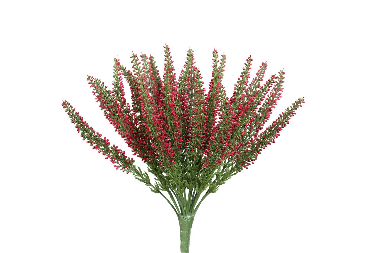 Kunstblume Erikabusch/ Heidekraut künstlich Kunstpflanzen künstliche Blumen Erika, Seidenblumen Roß, Höhe 28 cm, Farbe: Fuchsia Kunstblume Erikabusch/ Heidekraut künstlich Kunstpflanzen künstliche Blumen Erika, Seidenblumen Roß, Höhe 28 cm, Farbe: Fuchsia von Seidenblumen Roß