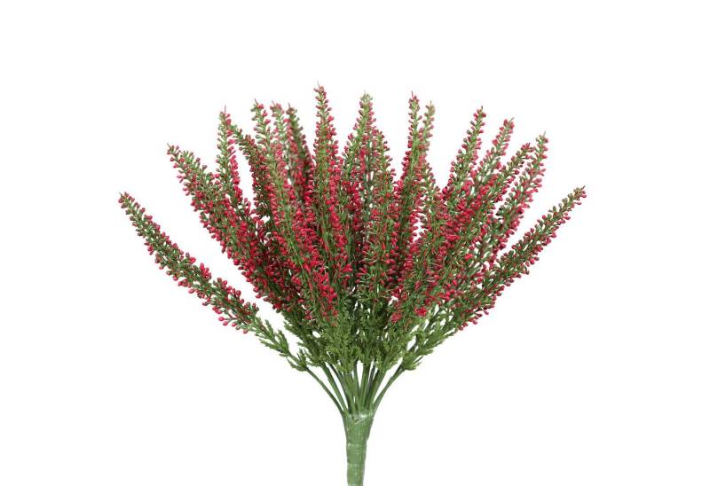 Kunstblume Erikabusch/ Heidekraut künstlich Kunstpflanzen künstliche Blumen Erika, Seidenblumen Roß, Höhe 28 cm, Farbe: Fuchsia Kunstblume Erikabusch/ Heidekraut künstlich Kunstpflanzen künstliche Blumen Erika, Seidenblumen Roß, Höhe 28 cm, Farbe: Fuchsia von Seidenblumen Roß
