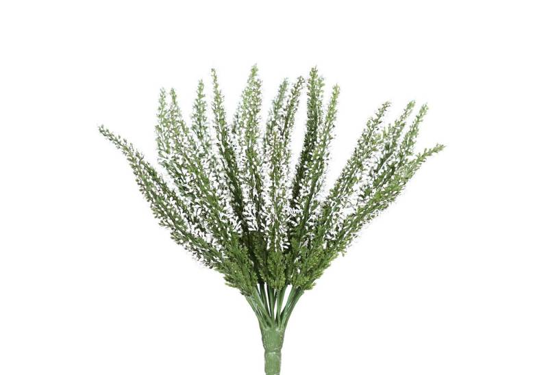 Kunstblume Erikabusch/ Heidekraut künstlich Kunstpflanzen künstliche Blumen Erika, Seidenblumen Roß, Höhe 28 cm, Farbe: Weiß Kunstblume Erikabusch/ Heidekraut künstlich Kunstpflanzen künstliche Blumen Erika, Seidenblumen Roß, Höhe 28 cm, Farbe: Weiß von Seidenblumen Roß