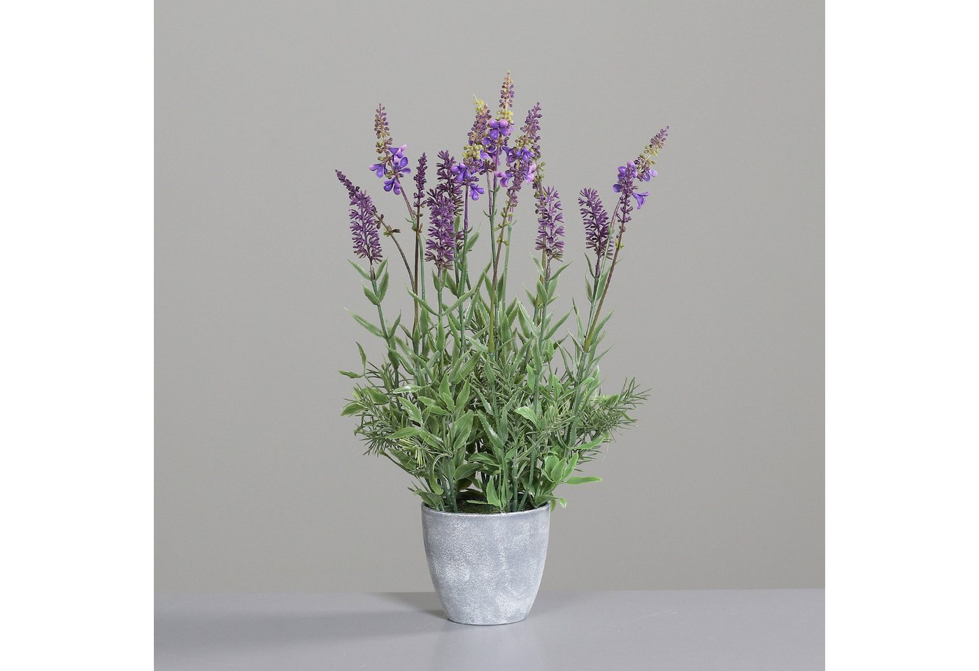 Kunstblume Lavendelbusch im Dekotopf DP Kunstpflanzen künstliche Blumen Pflanzen Lavendel, Seidenblumen Roß, Höhe 44 cm von Seidenblumen Roß