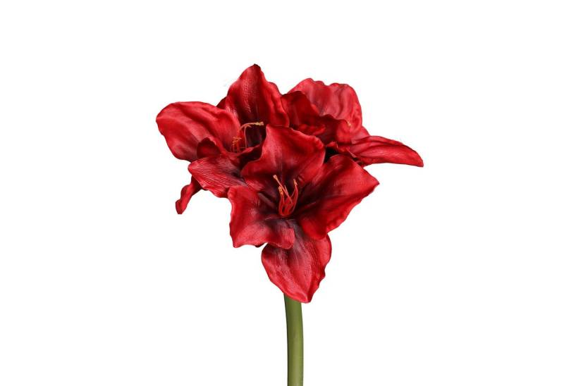 Kunstblume Premium Amaryllis 70cm DP Dekoblumen künstlicher Blumen Ritterstern, Seidenblumen Roß, Höhe 70 cm, Farbe: Rot Kunstblume Premium Amaryllis 70cm DP Dekoblumen künstlicher Blumen Ritterstern, Seidenblumen Roß, Höhe 70 cm, Farbe: Rot von Seidenblumen Roß