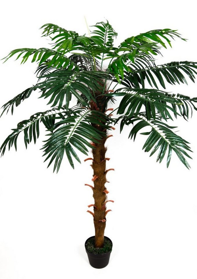 Kunstpalme Phönixpalme 140cm ZJ Dekopalme künstliche Pflanzen Palme, Seidenblumen Roß, Höhe 140 cm von Seidenblumen Roß