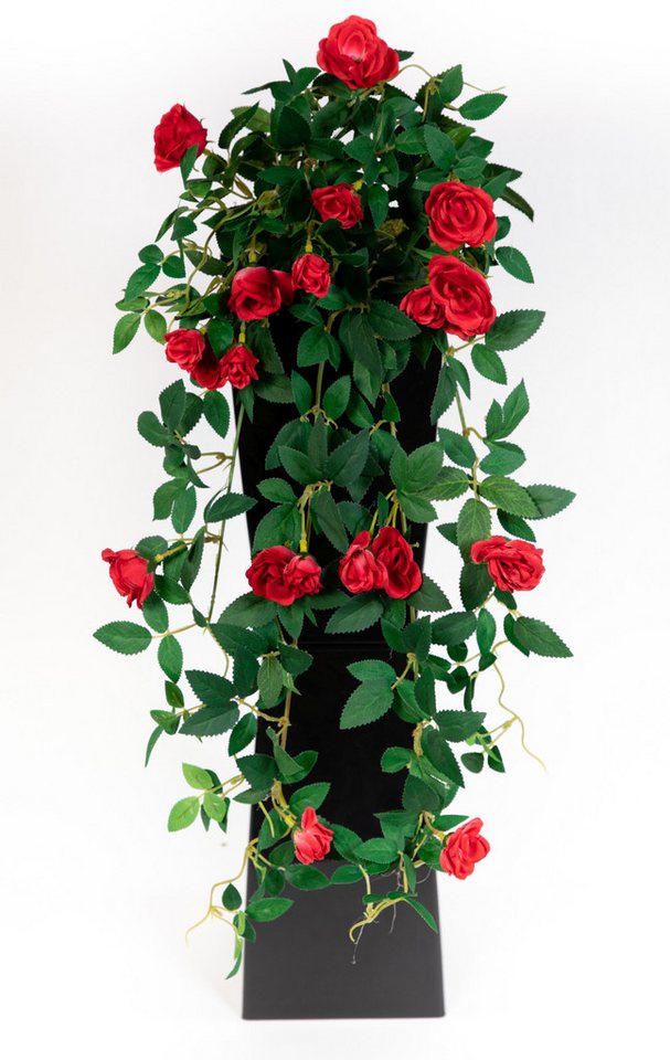 Kunstranke Rosenranke 62cm ZF Kunstpflanzen Kunstblumen künstliche Blumen Rosen, Seidenblumen Roß, Höhe 62 cm, Rot Kunstranke Rosenranke 62cm ZF Kunstpflanzen Kunstblumen künstliche Blumen Rosen, Seidenblumen Roß, Höhe 62 cm, Rot von Seidenblumen Roß