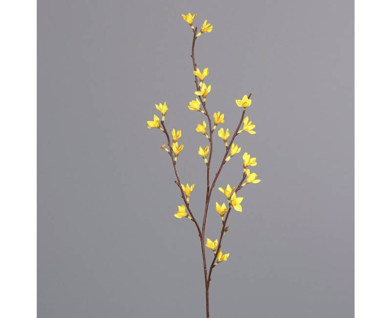 Kunstzweig Forsythienzweig 75cm DP Kunstblumen Goldflieder künstliche Blumen Forsythie, Seidenblumen Roß, Höhe 75 cm Kunstzweig Forsythienzweig 75cm DP Kunstblumen Goldflieder künstliche Blumen Forsythie, Seidenblumen Roß, Höhe 75 cm von Seidenblumen Roß