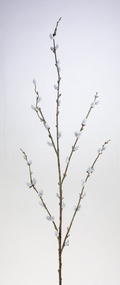 Kunstzweig Weidenkätzchenzweig 115cm FI künstliche Palmkätzchen Salix Weidenkätzchen, Seidenblumen Roß, Höhe 115 cm von Seidenblumen Roß