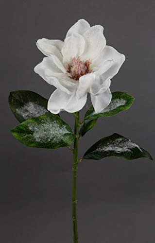 Magnolie mit Schnee- und Eiskristallen 54cm DP Kunstpflanzen Seidenblumen künstliche Blumen Pflanzen von Seidenblumen Roß