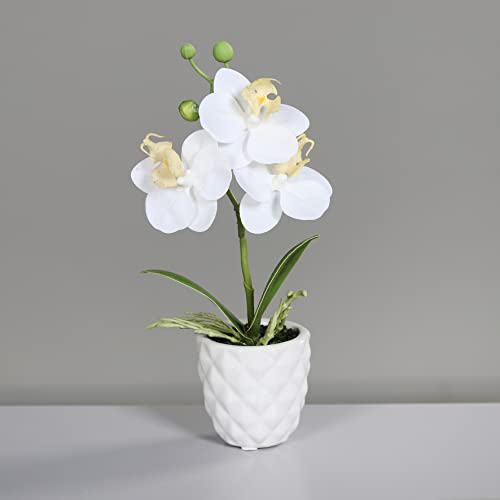 Mini Orchidee Real Touch 24cm im weißen Keramiktopf DP künstliche Blumen Orchideen Kunstpflanze (Weiß) von Seidenblumen Roß