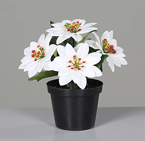 Mini - Weihnachtsstern 13cm weiß im schwarzen Topf DP künstliche Blume Kunstpflanze Kunstblumen Poin von Seidenblumen Roß