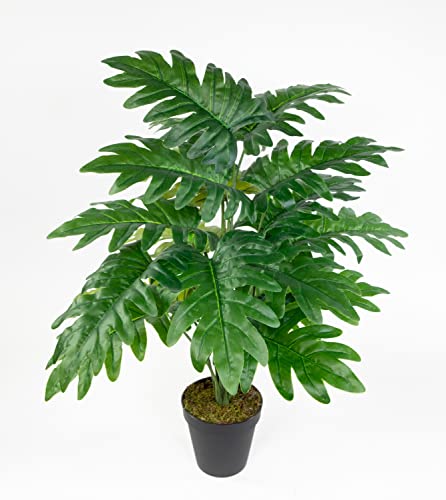 Seidenblumen Roß Monstera Real Touch 60cm grün im Topf ZF Kunstpflanzen künstliche Pflanzen Monsterapflanze von Seidenblumen Roß