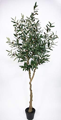 Olivenbaum im Topf 180cm ZF Kunstbaum Kunstpflanzen künstlicher Baum Pflanzen Olive von Seidenblumen Roß