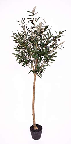 Olivenkugelbaum im Topf 150cm ZF Kunstbaum Kunstpflanzen künstlicher Baum Pflanzen Olive Olivenbaum von Seidenblumen Roß