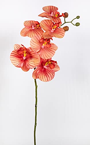 Orchideenzweig Real Touch 70cm orange-Peach CG Kunstblumen künstliche Orchidee Blumen Seidenblumen von Seidenblumen Roß