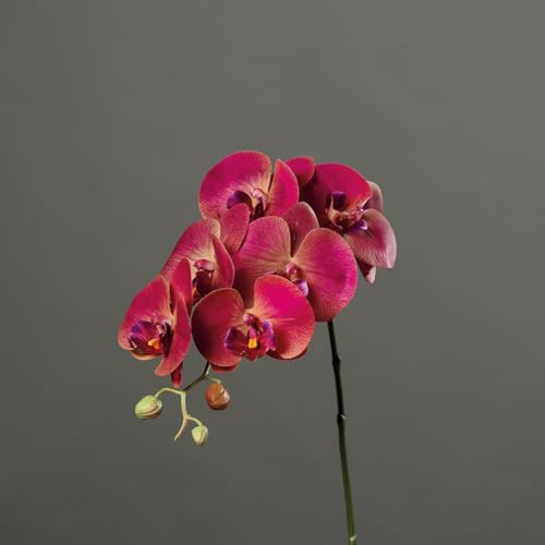 Orchideenzweig Real Touch 80cm DP Kunstblumen künstliche Orchidee Orchideen Blumen (Fuchsia) von Seidenblumen Roß