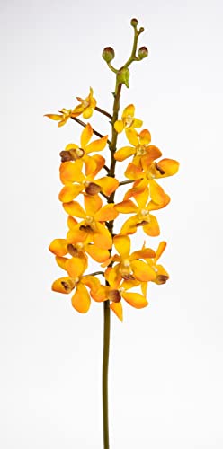 Seidenblumen Roß Orchideenzweig Vanda 70cm orange CG Kunstblumen künstliche Orchidee Vanda Blumen Pflanzen von Seidenblumen Roß