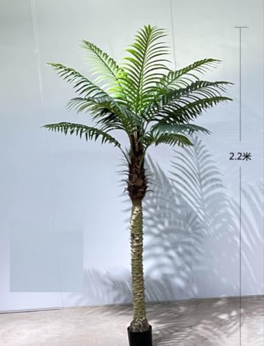 Phönixpalme 210cm bis 230cm ZF künstliche Palmen Kunstpalmen Kunstpflanzen Dekopalme Phönixpalme 210cm bis 230cm ZF künstliche Palmen Kunstpalmen Kunstpflanzen Dekopalme von Seidenblumen Roß