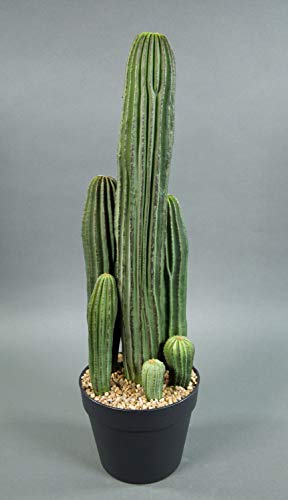 Seidenblumen Roß Säulenkaktus 62cm im Topf DP Kunstpflanzen künstliche Kakteen Pflanzen künstlicher Kaktus von Seidenblumen Roß