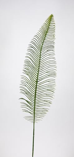 Seidenblumen Roß 24 Stück Farnwedel/Farnzweig 56cm OG künstlicher Farn Zweig Blatt Wedel Kunstpflanzen von Seidenblumen Roß