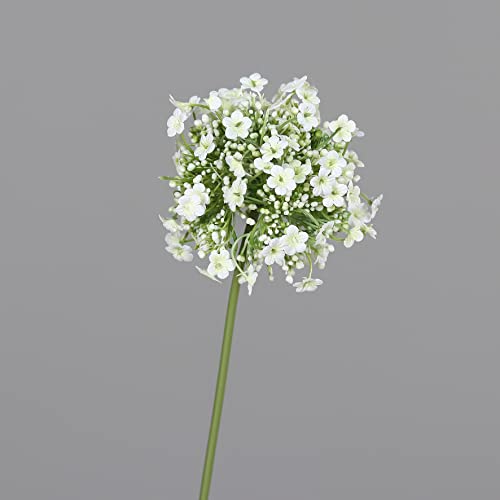 Seidenblumen Roß Alliumkugel mit Blüten 46cm DP Kunstlbumen künstliche Blumen Allium Lauch (Weiß) von Seidenblumen Roß