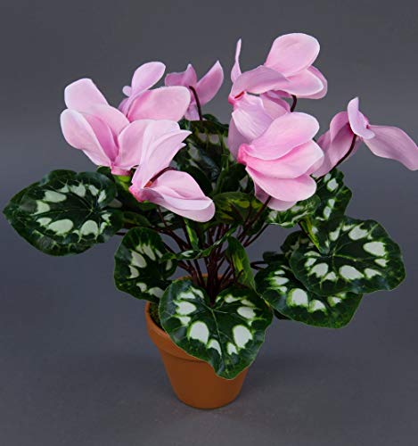 Seidenblumen Roß Alpenveilchen 36cm rosa im Topf ZF künstliche Blumen Kunstpflanzen Kunstblumen Cyclamen von Seidenblumen Roß