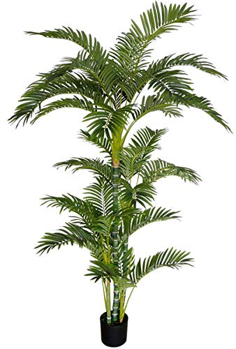 Seidenblumen Roß Arekapalme Deluxe 190cm DA Kunstpalmen künstliche Palmen Arecapalme Dekopalme von Seidenblumen Roß