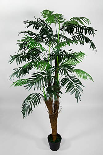 Seidenblumen Roß Arekapalme Kokosstamm 180cm ZJ künstliche Palmen Palme Kunstpalmen Kunstpflanzen Dekopalme von Seidenblumen Roß