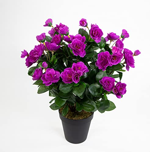 Seidenblumen Roß Azalee 40cm Purple im Topf ZF Kunstpflanzen Kunstblumen künstliche Blumen von Seidenblumen Roß