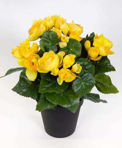 Seidenblumen Roß Begonie 25cm im Topf LM Kunstpflanzen künstlicher Begonienbusch künstliche Pflanze Kunstblumen (Gelb) von Seidenblumen Roß