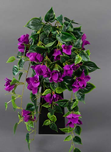 Seidenblumen Roß Bougainvillearanke 65cm lila ZF künstliche Bougainvillea Ranke Blumen Pflanzen Kunstpflanzen Seidenblumen Roß Bougainvillearanke 65cm lila ZF künstliche Bougainvillea Ranke Blumen Pflanzen Kunstpflanzen von Seidenblumen Roß