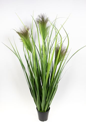 Seidenblumen Roß Chinaschilf/Chinagras im schwarzen Topf GA Gracillimus Kunstpflanzen künstliche Pflanzen künstliches Gras Dekogras (90x35cm) von Seidenblumen Roß