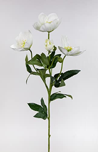 Seidenblumen Roß Christrose 62cm weiß PM Kunstblumen künstliche Christrose Blumen Helleborus von Seidenblumen Roß