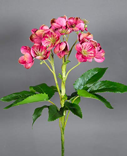 Seidenblumen Roß Christrose Natural 58x45cm pink-rosa GA Kunstblumen künstliche Blumen Pflanzen Helleborus Christrose von Seidenblumen Roß