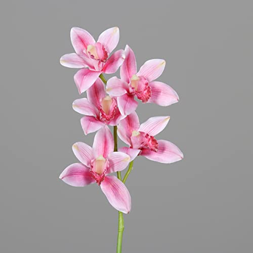 Seidenblumen Roß Cymbidie 65cm rosa-pink DP Kunstlbumen künstliche Orchiedee Orchideenzweig Blumen von Seidenblumen Roß