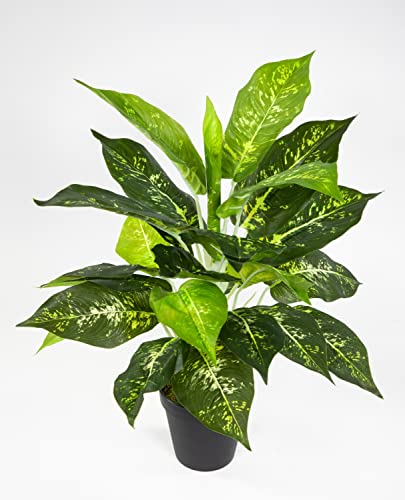 Seidenblumen Roß Dieffenbachia 46cm im Topf ZF Kunstpflanzen künstliche PflanzenDieffenbachiapflanze von Seidenblumen Roß