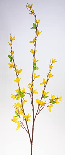 Seidenblumen Roß Forsythienzweig 105cm FI Kunstblumen künstliche Forsythie Goldflieder Goldglöckchen Blumen von Seidenblumen Roß