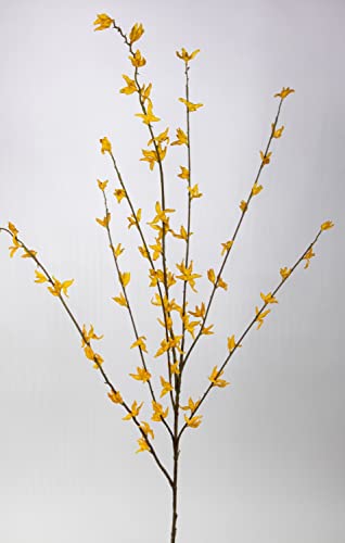 Seidenblumen Roß Forsythienzweig 120cm JA Kunstblumen künstliche Forsythie Goldflieder Goldglöckchen Blumen von Seidenblumen Roß