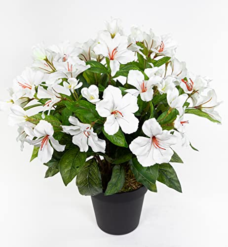 Seidenblumen Roß Großer Hibiskus 42cm weiß-Creme im Topf ZF künstliche Pflanze künstlicher Eibisch Kunstblume Kunstpflanze von Seidenblumen Roß