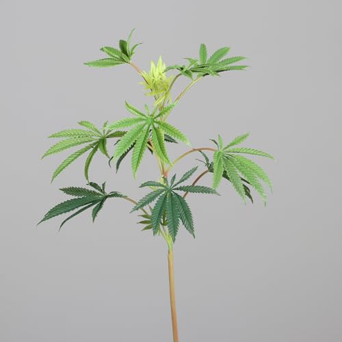 Seidenblumen Roß Hanfzweig Cannabiszweig 85cm DP Kunstpflanzen künstliche Pflanzen Hanf Cannabis Weed Weedbranch Seidenblumen Roß Hanfzweig Cannabiszweig 85cm DP Kunstpflanzen künstliche Pflanzen Hanf Cannabis Weed Weedbranch von Seidenblumen Roß