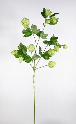 Seidenblumen Roß Hopfenzweig 98cm FT künstlicher Hopfen Zweig AST Kunstpflanzen von Seidenblumen Roß