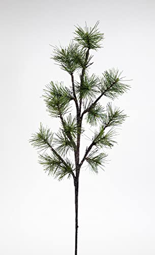 Seidenblumen Roß Kiefernzweig 65cm JA künstlicher Tannenzweig künstliche Kiefer Kunststoff Seidenblumen Roß Kiefernzweig 65cm JA künstlicher Tannenzweig künstliche Kiefer Kunststoff von Seidenblumen Roß